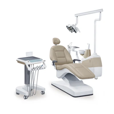 Drehbare Armlehne, FDA- und ISO-zugelassener Zahnarztstuhl, Zahnpflegeausrüstung